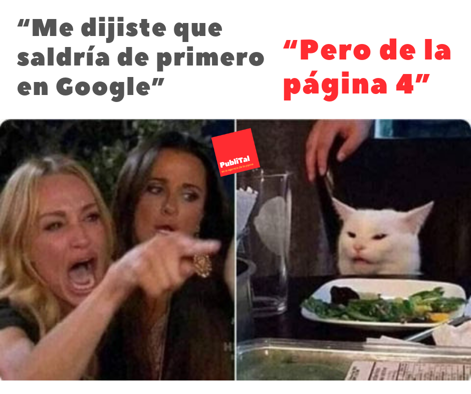 Meme chica llorando y gato respondiendo