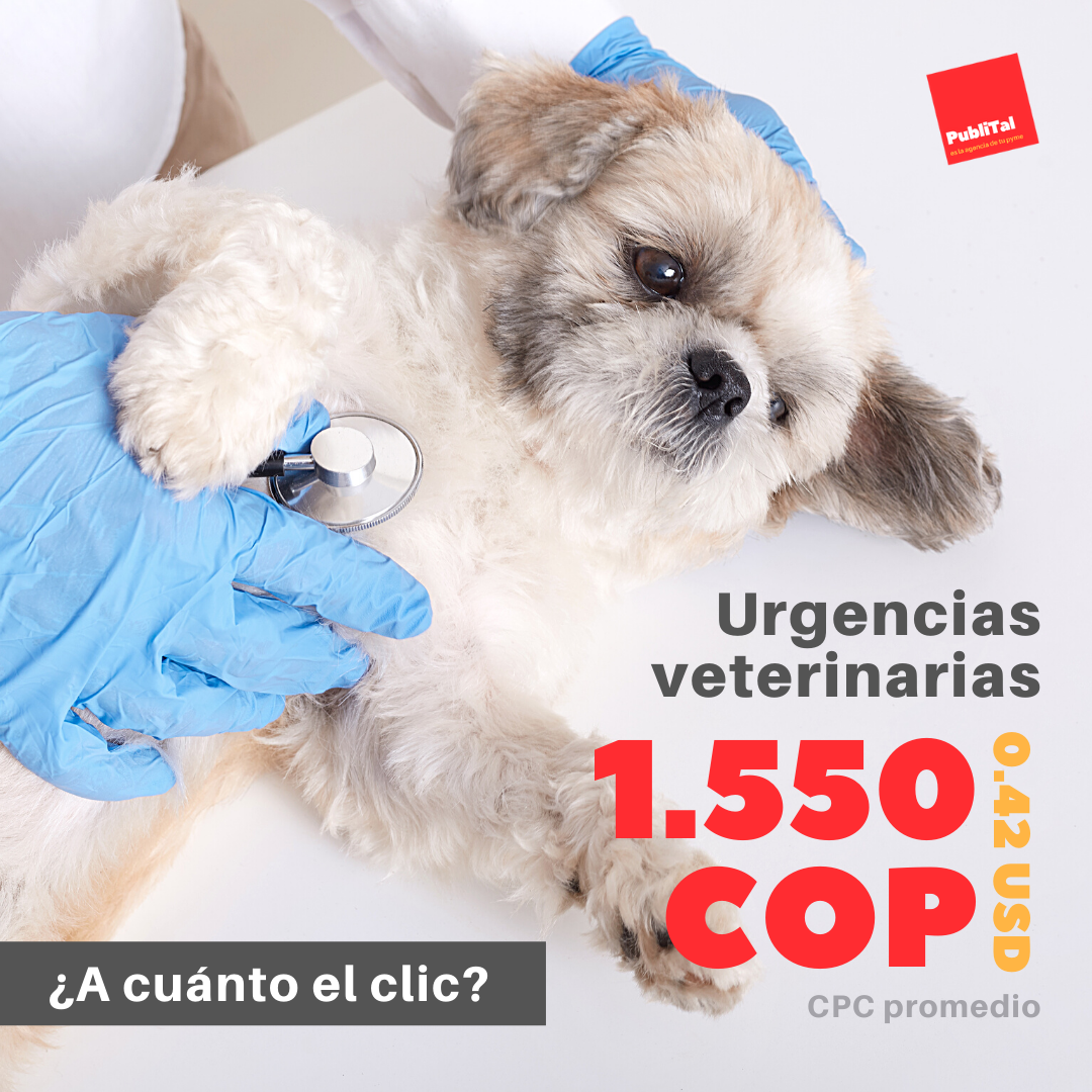 cuanto cuesta el clic para urgencias veterinarias
